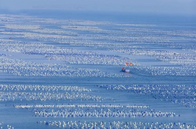 体荟四季｜冲浪、赶海、骑行...江浙沪这些 “动感海岸线”激活你的整个夏天