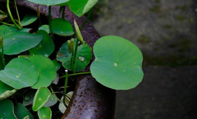 一定要少说话，少说话