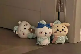 𝑾𝒆𝑪𝒉𝒂𝒕•头像｜chiikawa吉伊卡哇图片