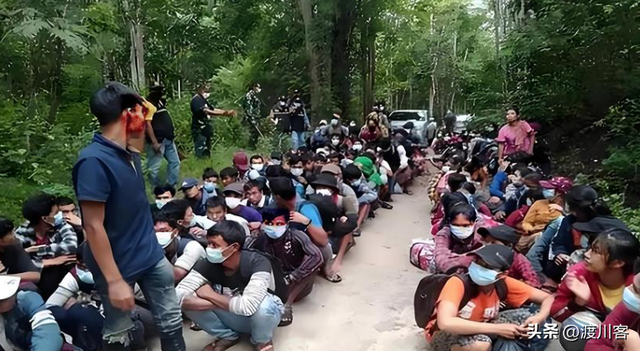 马斯克成电诈帮凶？园区走私设备跨国行骗，美国民众被电诈坑惨