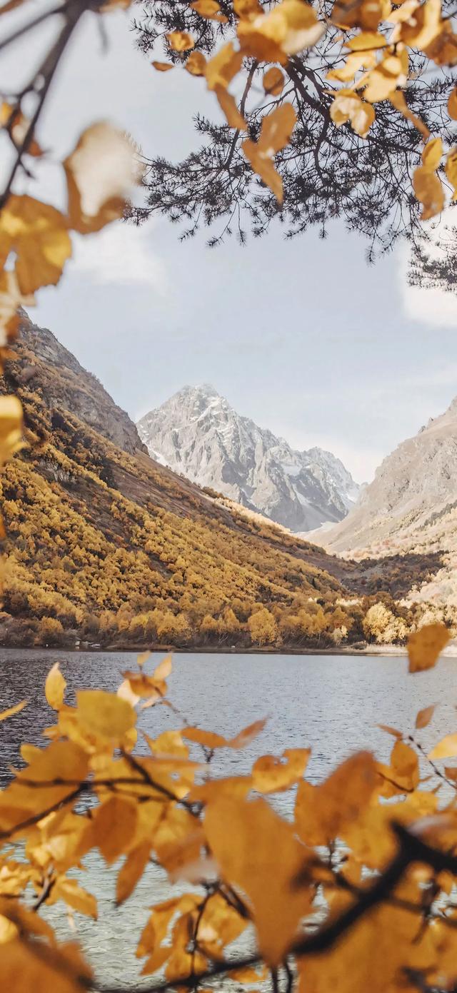 手机壁纸|ios26风景美景壁纸