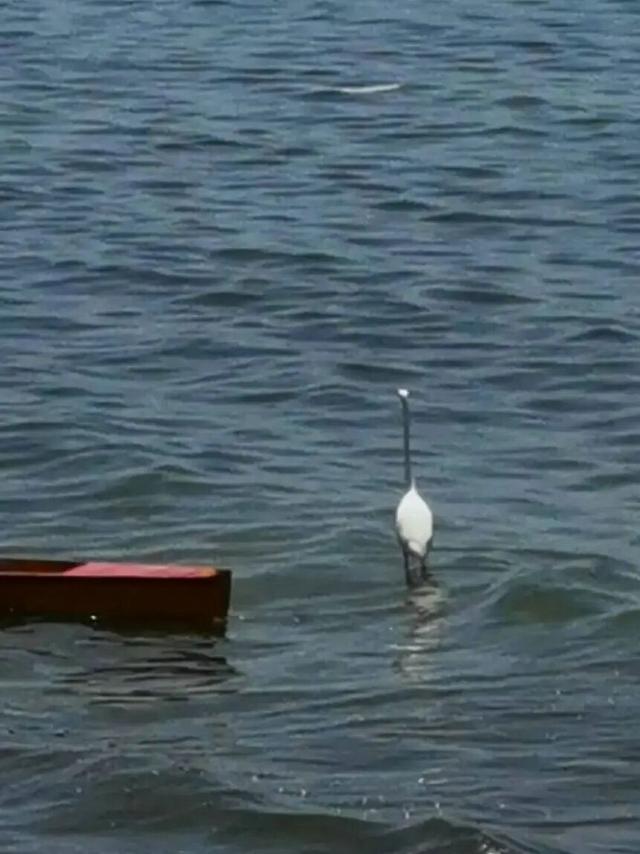 博斯腾湖不是湖，这是西海！