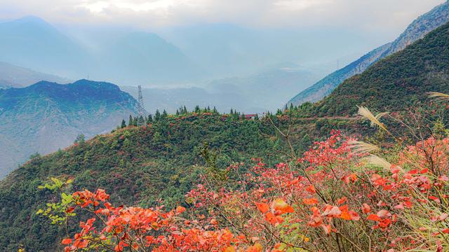 一江碧水，两岸红叶，静看三峡绚丽之秋