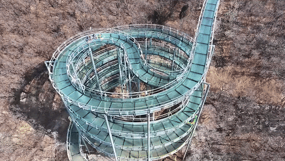 七家景区免费福利！淄博春节“错峰游”大招上线！现在出发刚刚好