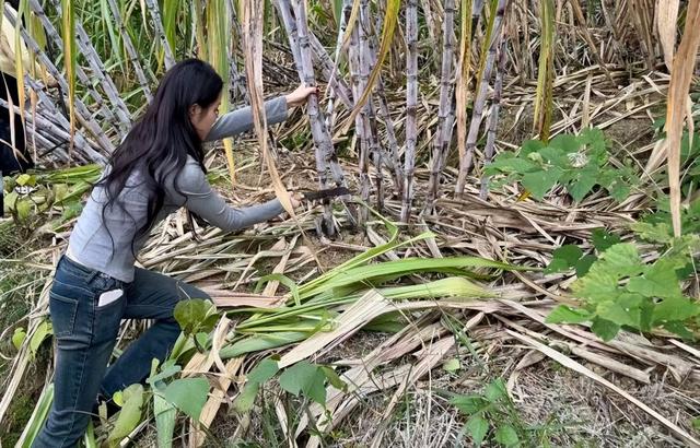 享暖冬 趣罗甸｜全国网络达人解锁“贵州小三亚”多元魅力