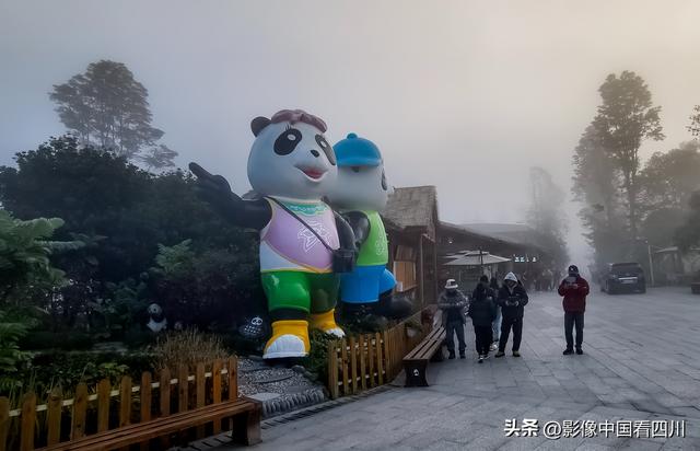 四川雅安：碧峰峡风光旖旎引客来