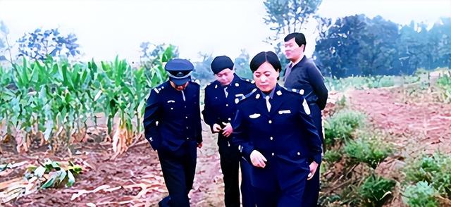 女包公任长霞：扫黑3年04年意外殉职，却在司机身上搜出60万支票