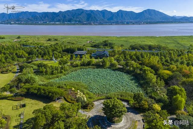 台州最被市民游客忽视的景点其实是个公园,位于三江交会的孤岛上