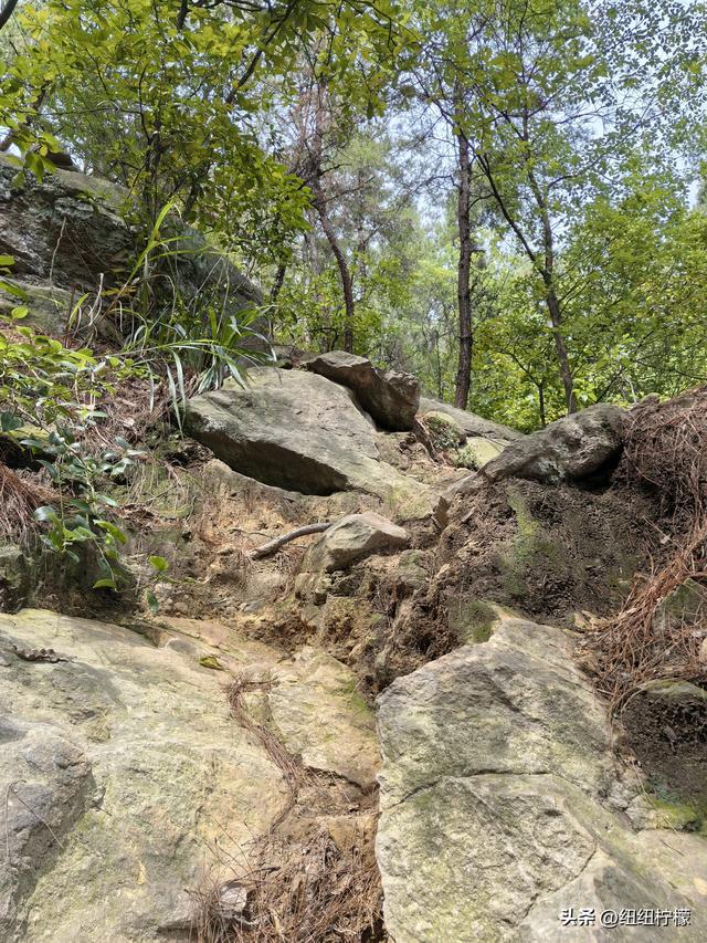 爬山，要量力而行，安全第一，爬歌乐山911更需如此