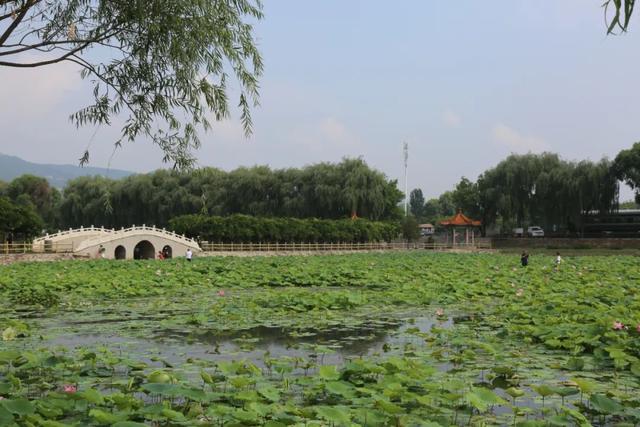 【文明旅游】太原：难老泉润稻荷香