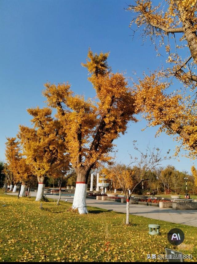 据我实际体验，冬天不宜自驾游