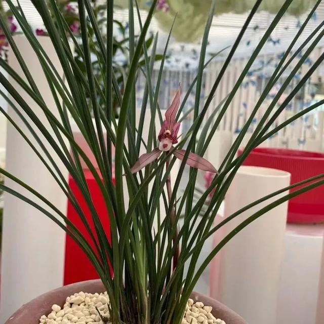 出门冻手冻耳朵！丰台室内去哪儿最温暖，戳——