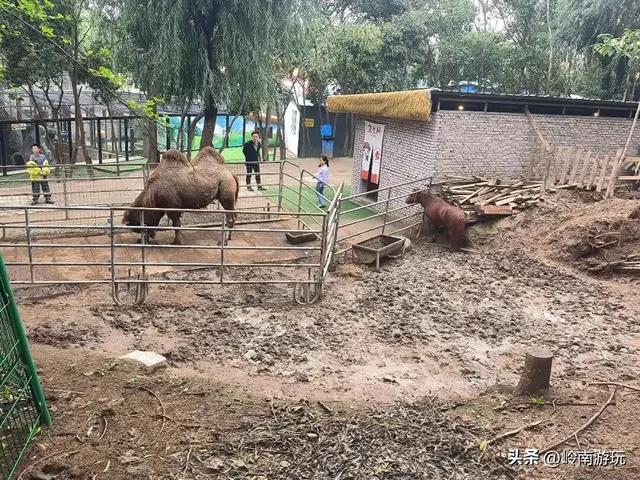 西安地铁10号线直达,承载708090后人记忆的未央湖公园变样了!