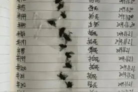 打算和男友分手的，无意间发现了他的日记，现在不敢了！图片