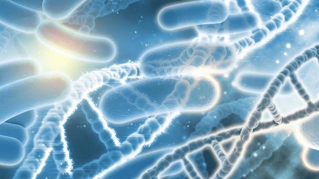 细菌的隐形模式隐藏着信息，直到被正确的生化物质触发才会显现