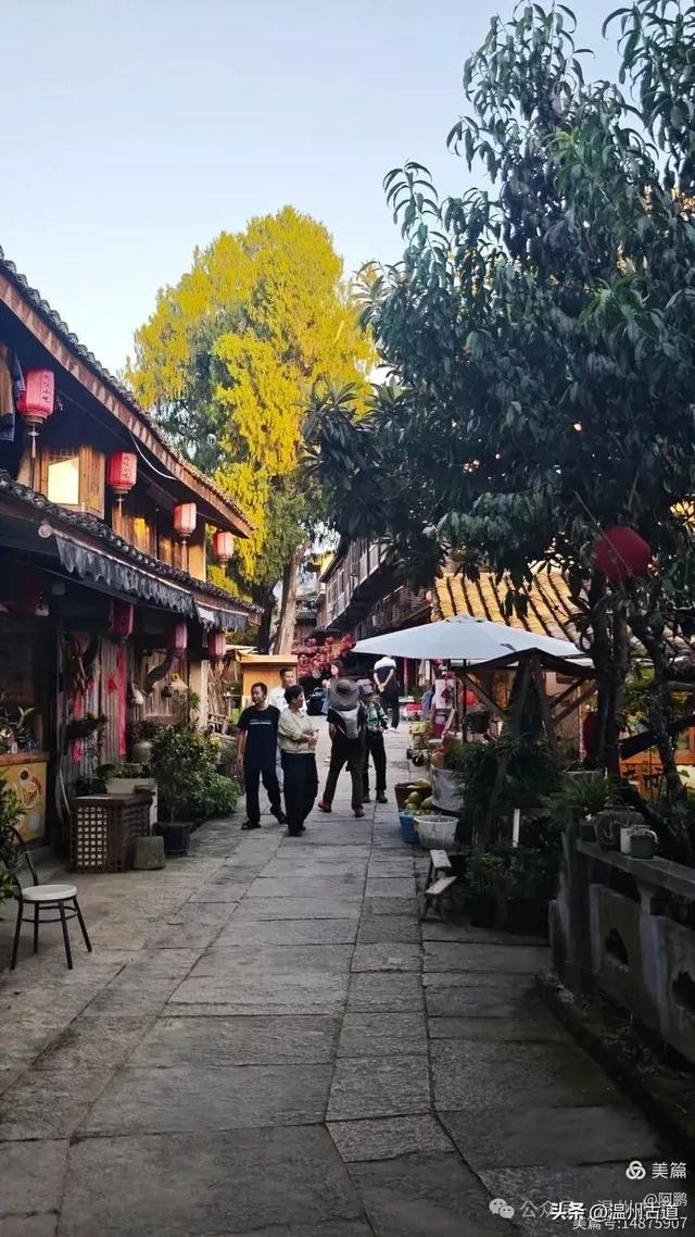 十一我去了趟温州这个千年古村落,再一次被它的美惊呆了!
