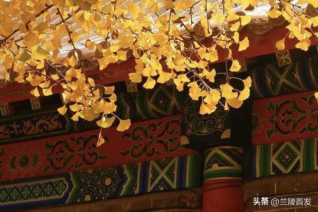 好客山东好品山东| 临沂的秋天，这10处绝美打卡地别错过！先收藏慢慢逛~