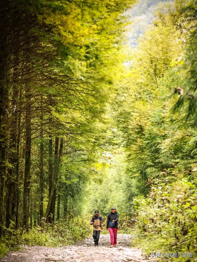 成都周边8条赏秋彩林线,人少景美,12年资深徒步玩家推荐