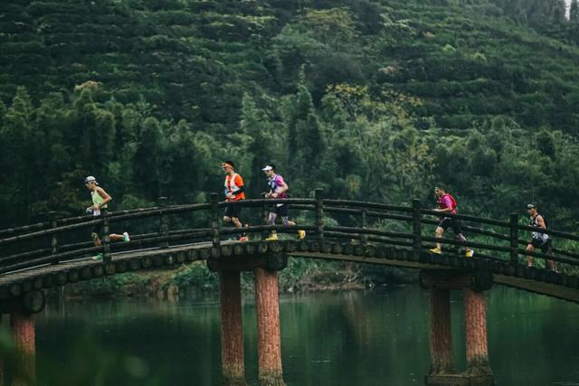 一叶见青山 万人证雅集 | 第十届大武夷超级山径赛圆满完赛