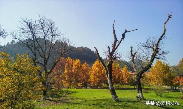 【东方微笑 多彩麦积】摄影师看麦积 | 初冬和谐园景色如画（上）