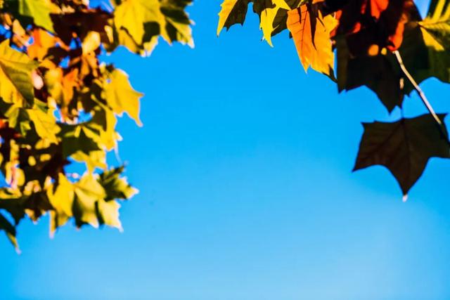 初冬的这座公园——这么静 那么美