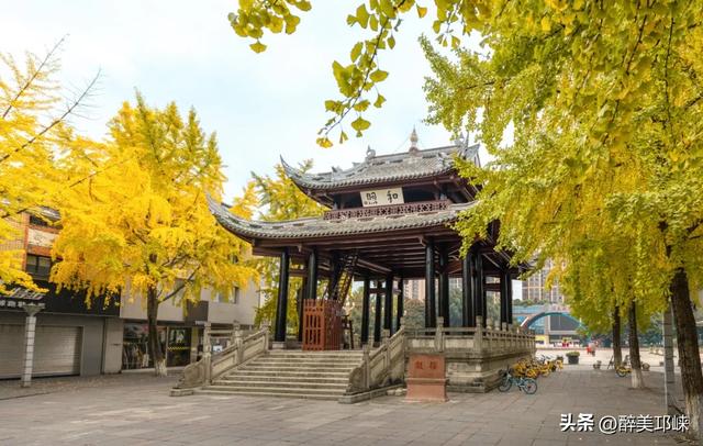 临邛古城银杏季，从浅黄到满树的鎏金，阳光温柔绵长