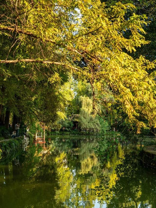 还起什么标题，美不美你们直接看！