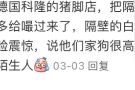 原来这就是老外眼里的神秘东方力量?看完评论区简直血脉觉醒~图片