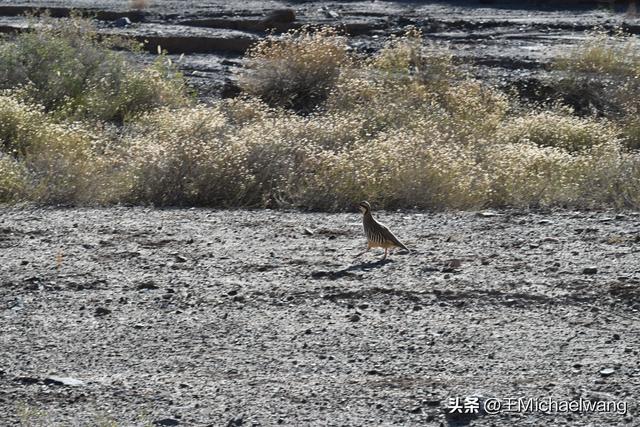 古意秋风三万里（D20）-从临泽县到祁连县