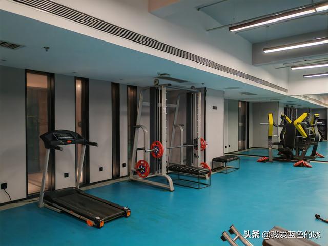 逛菏泽天香公园，这里牡丹很吸引游客，关键是二十四小时免费参观