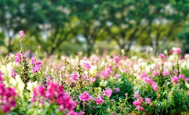 别让才艺班吞噬童年！这2个根基才是孩子一生的铠甲