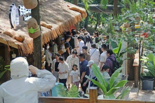 山水亦逍遥，盛夏更出圈！2025年金坛茅山暑假完美收官~