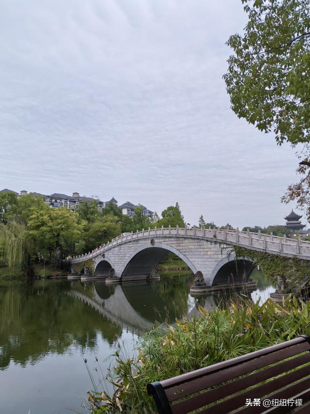 桂香袭来，在秀湖公园闻花香，读一读杜甫的诗，在亲水步道走一走