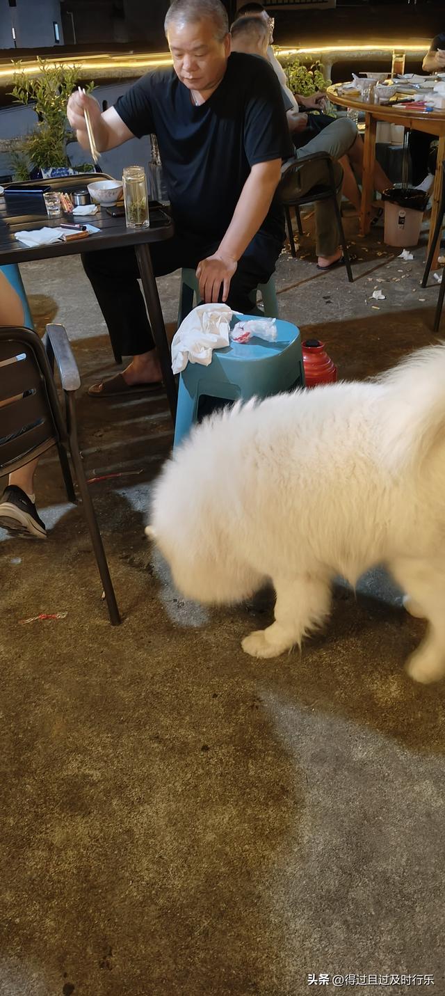 婺源游记-01慢品人间烟火