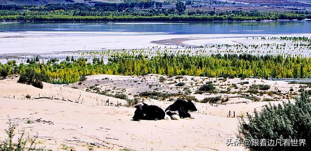 《八进西藏》在山南：遇见雅鲁藏布江与沙漠交织的自然画卷