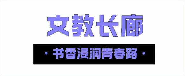 这样的桐梓坡，你一定没见过！