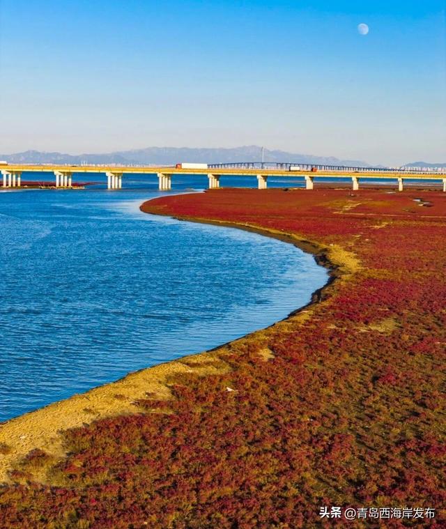 好！多！颜！色！啊！