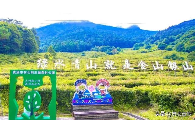 好消息！贵港一个新的主题植物园建成开放！