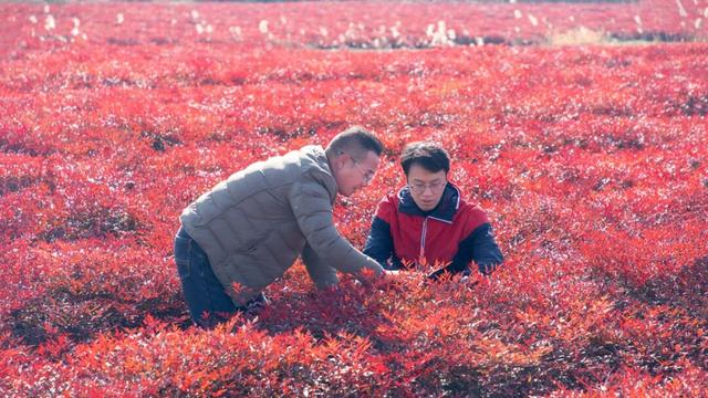 宜兴乡村之美，美在哪儿？