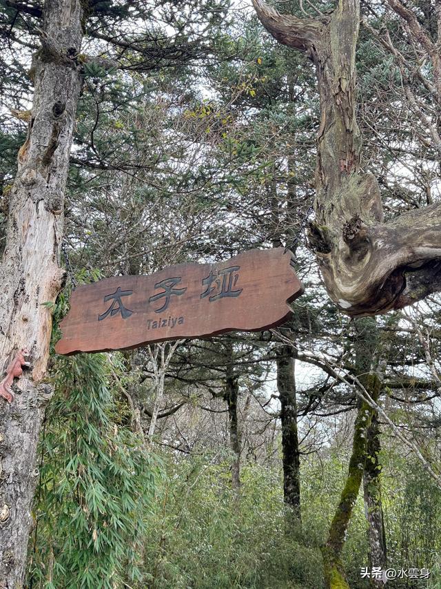 北京自驾长江三峡、神农架之旅（6）