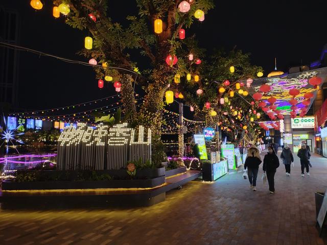 2026广东温暖之旅：佛山祖庙、孙中山故居、孙文西路步行街