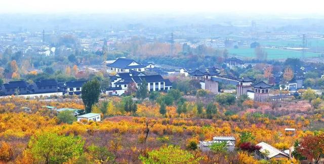 景色怡人！大自然的冬日画作，小城成了树木编织的五彩秘境！