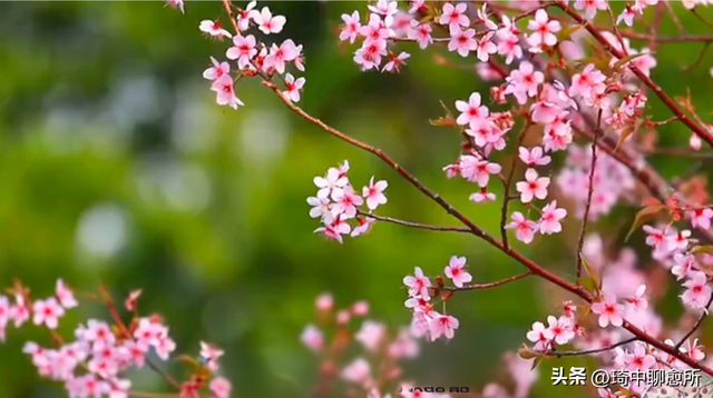 巨蟹座：你有喜事了！1月14日后	，一生中最大的3桩美事降临