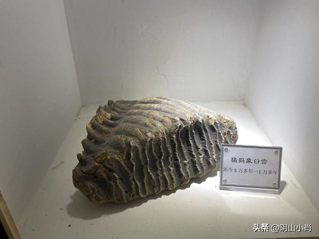 呼和浩特市托克托县田野考察笔记