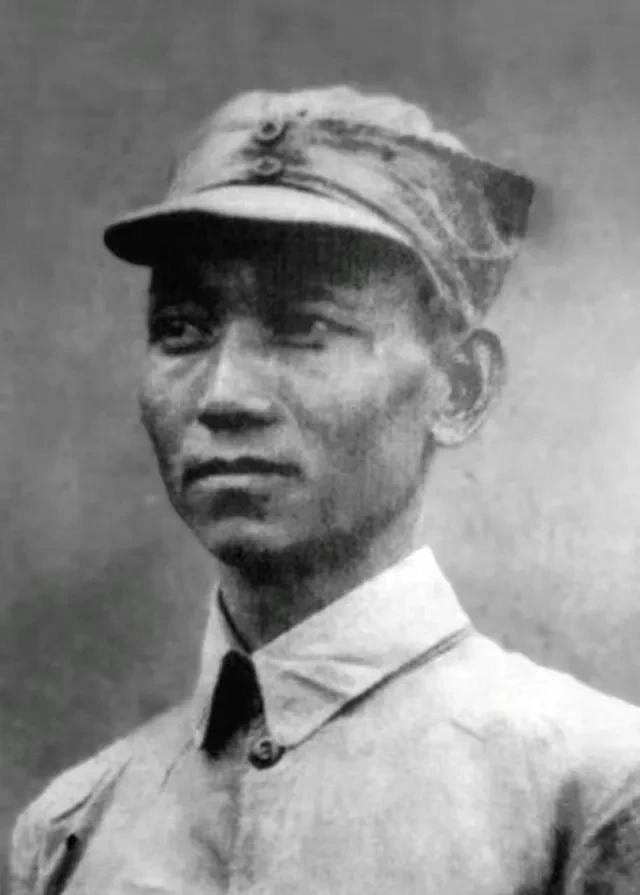 七大时，两位大将级人物落选中央委员：都找了毛主席，但态度不同
