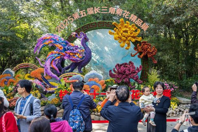 全是人人人人人！一年一度杭州“顶流”人气菊花展登场