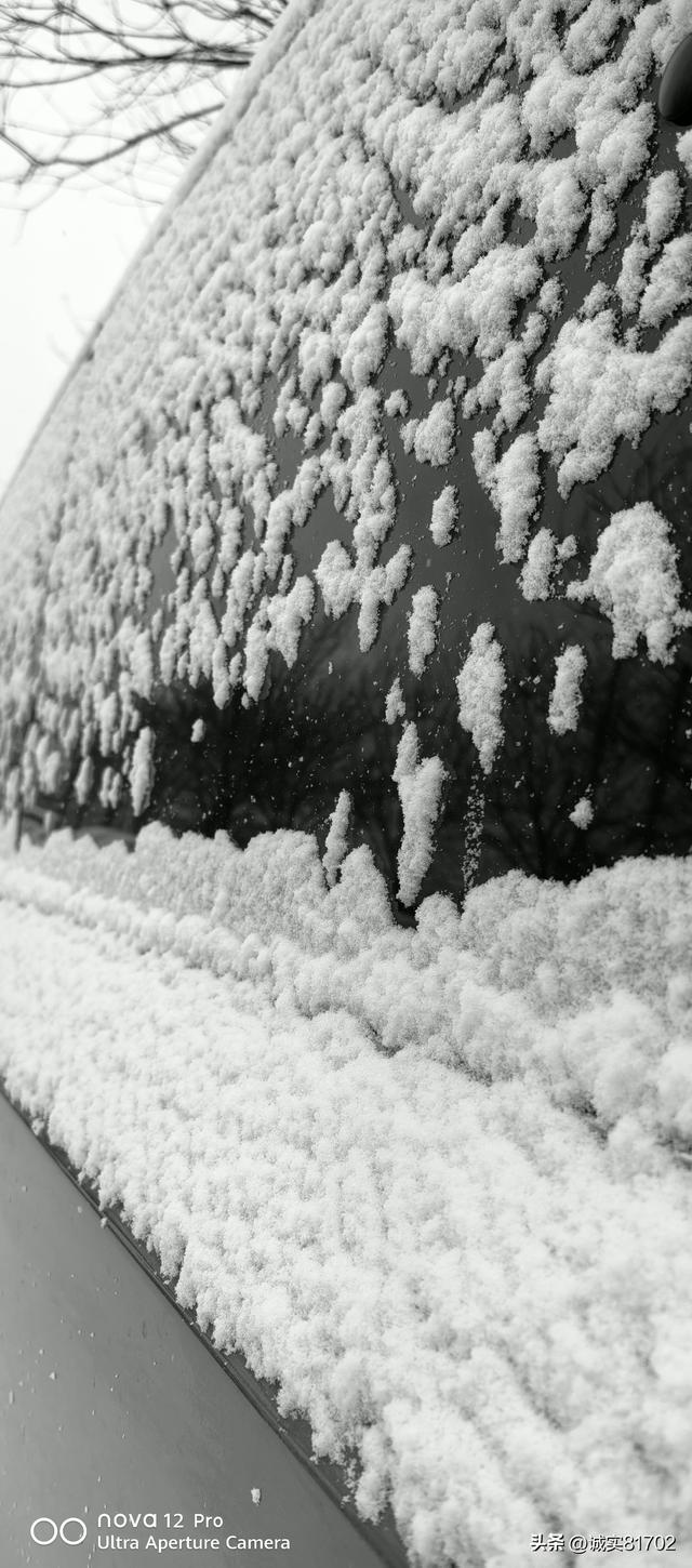 无论什么情况下，都要诚实对人