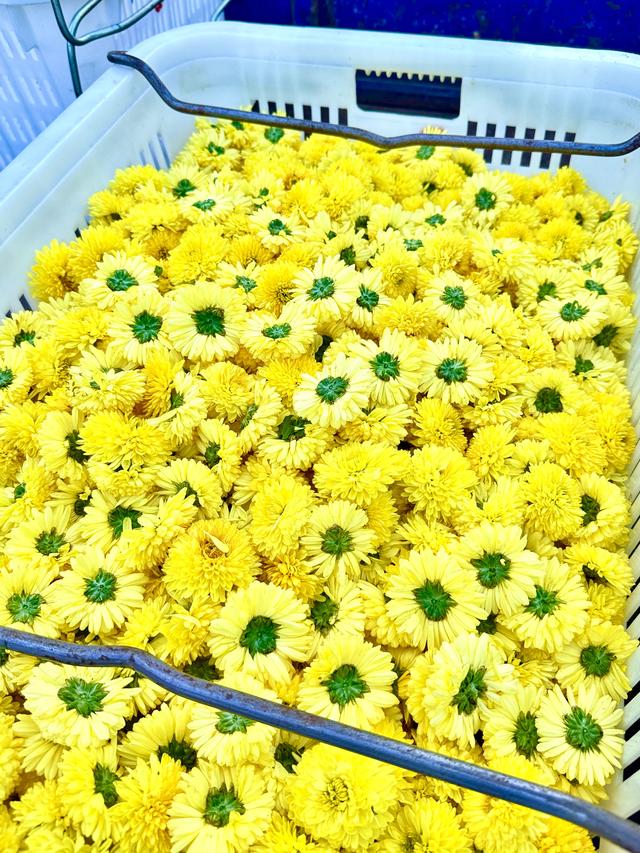 婺里古乡(上饶市婺源县)