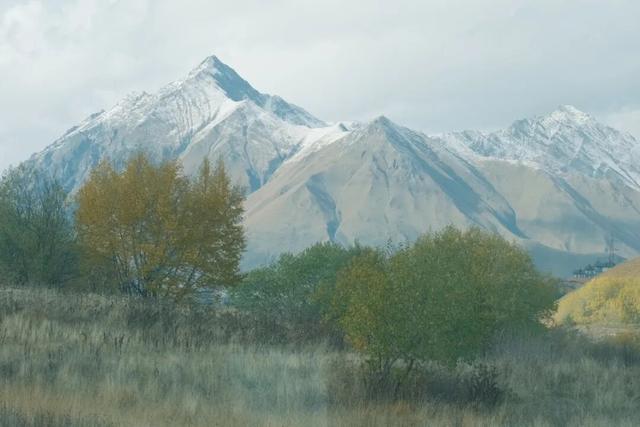 格鲁吉亚，除了代孕还有啥？