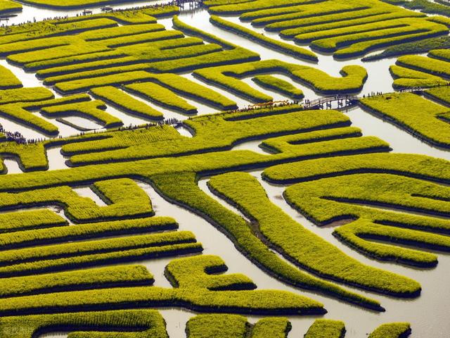 江苏被低估的城市！比南京静谧，比苏州安逸的水城，春天去刚刚好